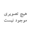 میکرو پلیسه